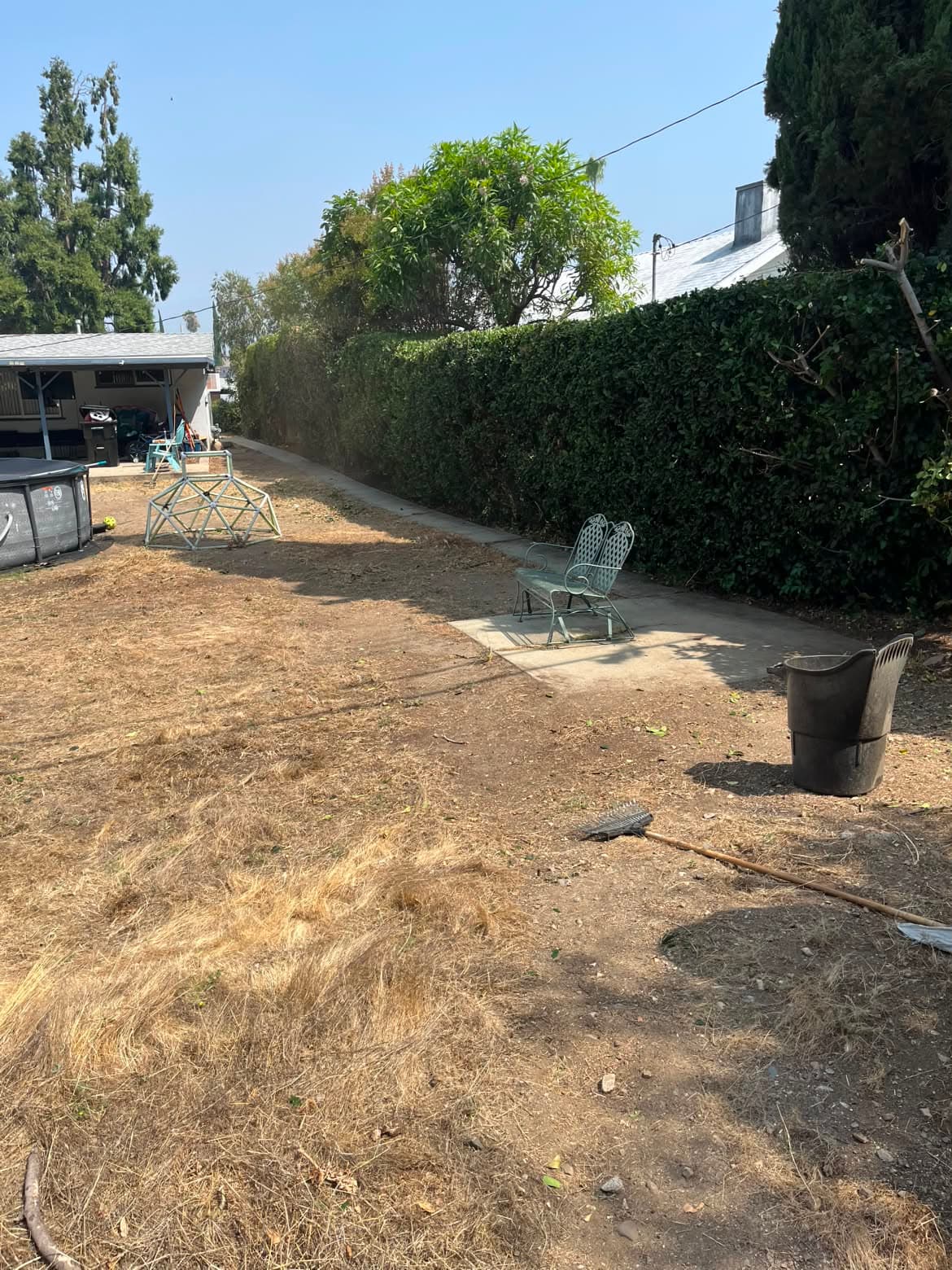 Overgrown backyard lawn before cleanup by Campos Lawn Care